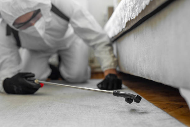 Professional Bed Bug Control technician working in Winston-Salem, NC