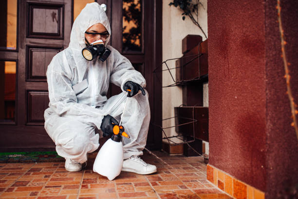 Reliable Bed Bug Control contractor in Winston-Salem, NC by Nex Pest Control