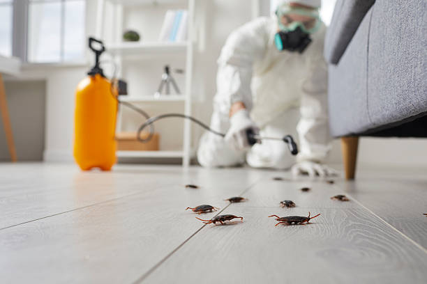 Trusted Fumigation Services service in Winston-Salem, NC - Nex Pest Control