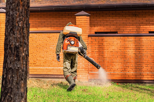 Trusted Termite Control service in Winston-Salem, NC - Nex Pest Control